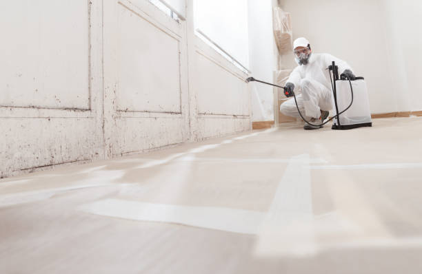 24/7 Emergency Mold Testing experts in Jackson, TN